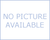 Icone Russe antiche: Expertise